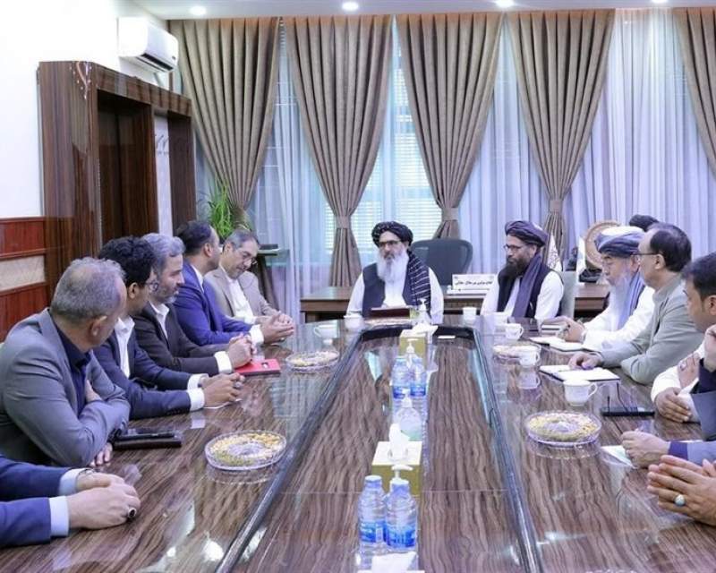 دیدار هیئت بخش خصوصی داروسازی ایران با وزیر بهداشت افغانستان