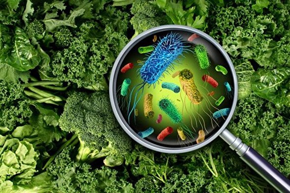 ببینید | راهکار‌هایی برای درمان سریع مسمومیت غذایی