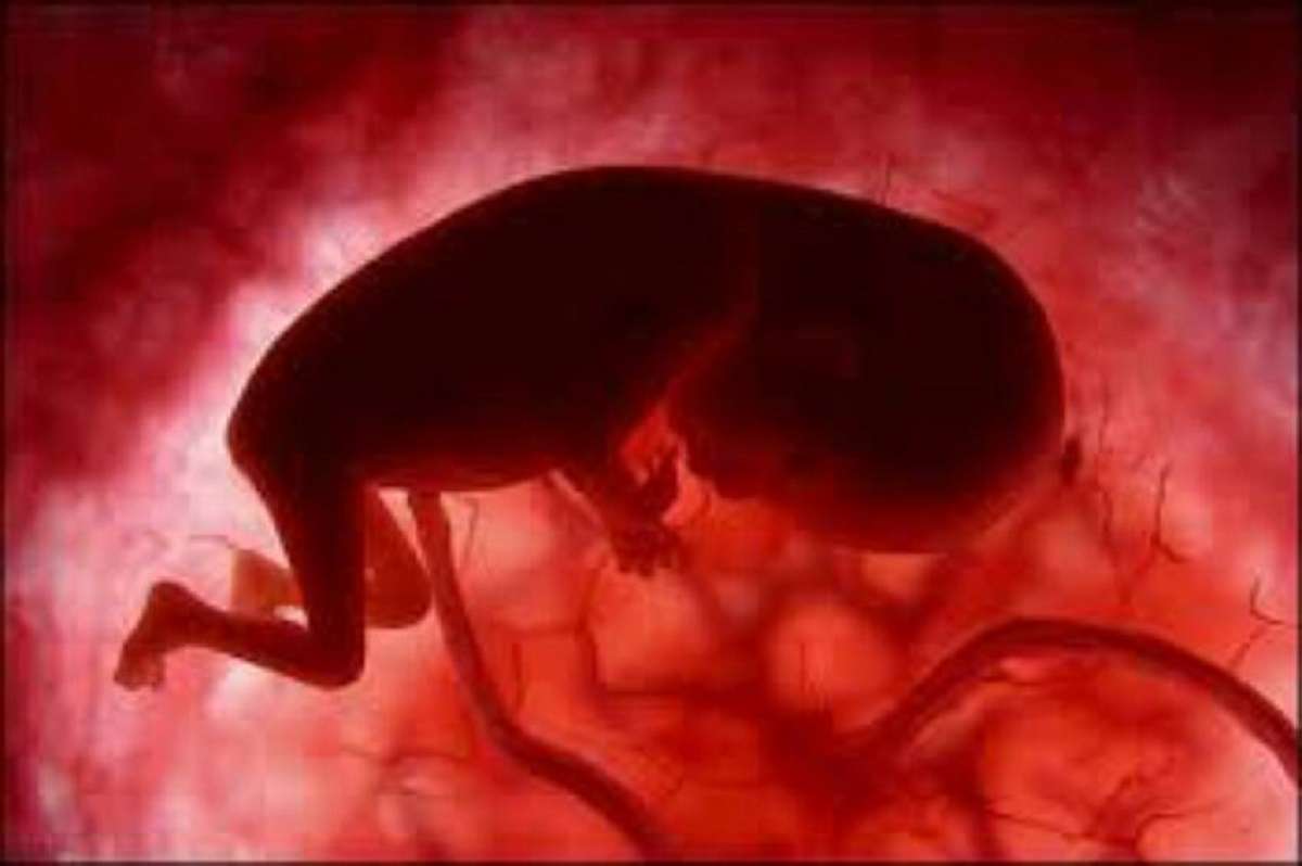 مجوز داروخانه و مطب‌های عرضه‌کننده داروی سقط‌جنین باید ابطال شود