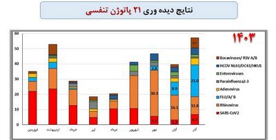 ۳ ویروس خطرناک در صدر عوامل بیماری‌های تنفسی ایرانی‌ها + نمودار