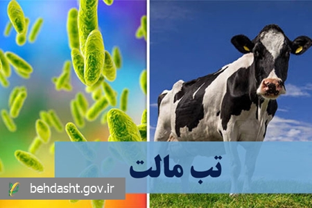 هشدار درباره افزایش ابتلا به تب مالت در کشور