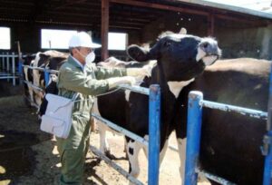 مدیرکل دامپزشکی اصفهان