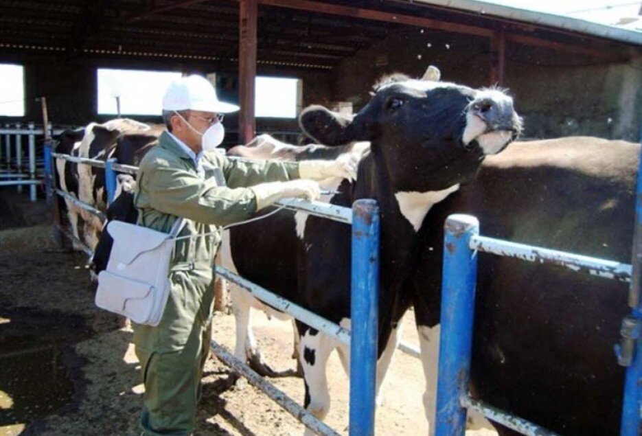 مدیرکل دامپزشکی اصفهان